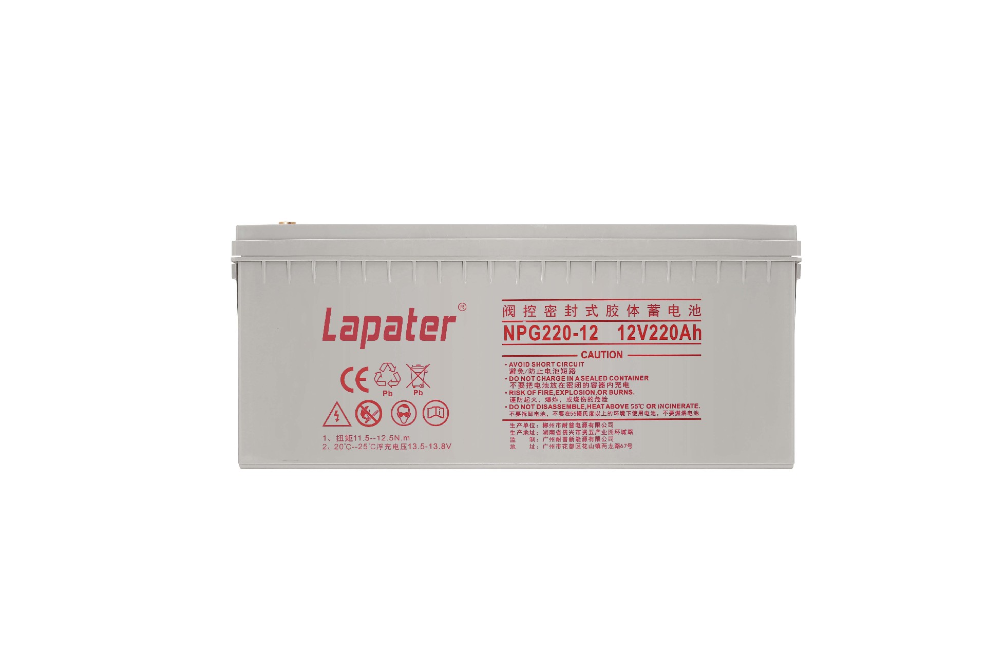 NPG220-12 (2)lapater.jpg